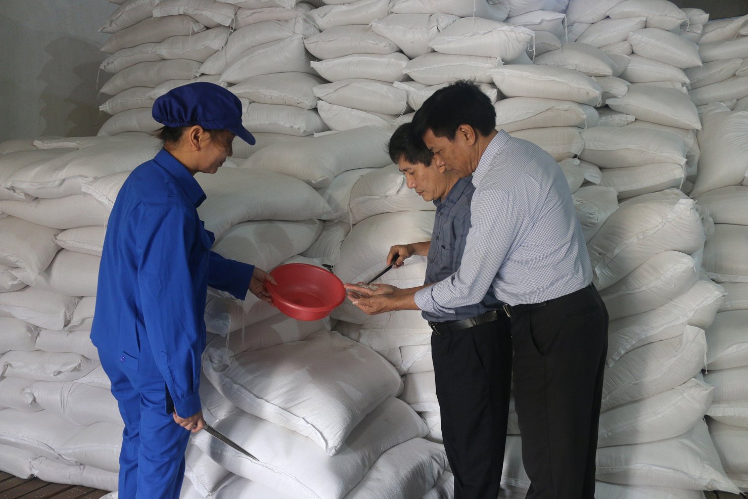 Cục DTNN khu vực Nghệ Tĩnh vừa hoàn thành xuất cấp hơn 1.019 tấn gạo DTQG đợt 1 hỗ trợ học sinh học kỳ II năm học 2023 - 2024.