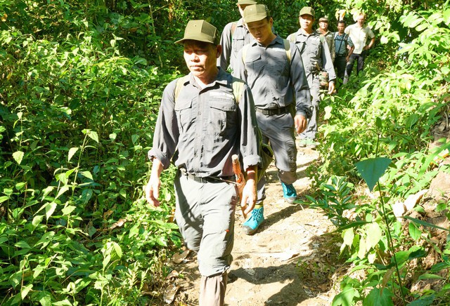 Bảo vệ và phát triển rừng tạo nền tảng vững chắc cho thị trường carbo rừng Việt Nam - Ảnh: VGP/Đỗ Hương