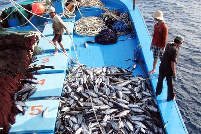Các chủ thể vi phạm quy định về bảo vệ môi trường sống của các loài thủy sản bị phạt tiền từ 5 - 200 triệu đồng, tùy thuộc vào các hành vi vi phạm.