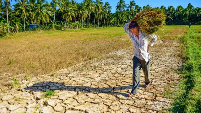 Nhiều địa phương phải đối mặt với tình trạng khô hạn, thiếu nước kéo dài.