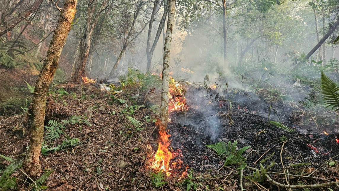 Nắng nóng kéo dài kèm theo thiếu hụt lượng mưa, dẫn đến nguy cơ xảy ra cháy rừng là rất cao.