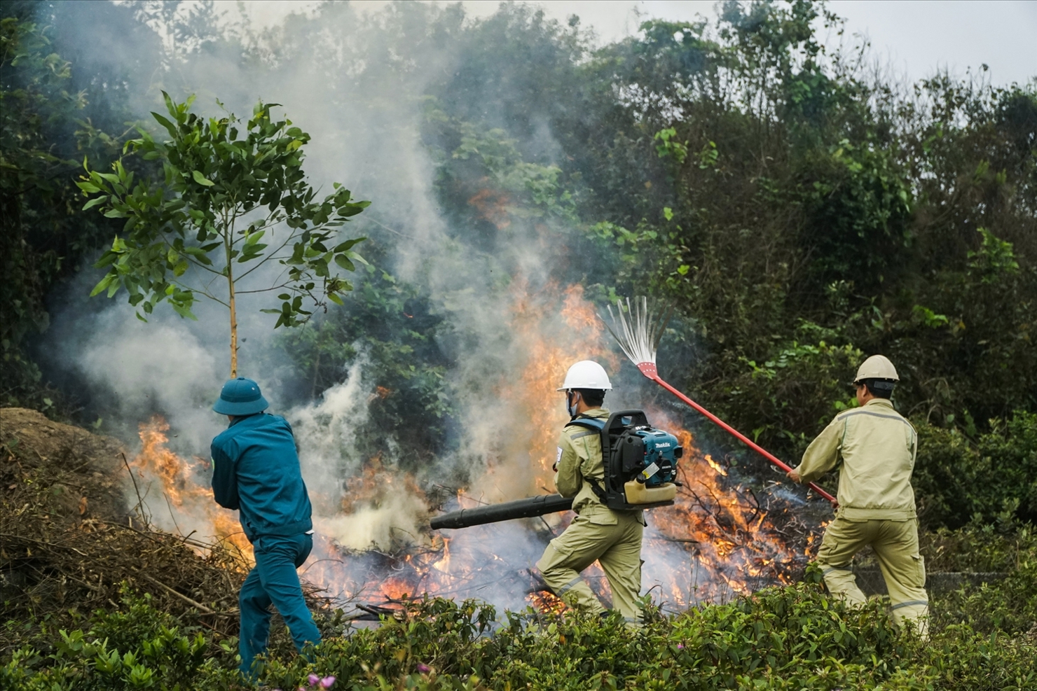 Thủ tướng yêu cầu Lãnh đạo các địa phương thực hiện nghiêm trách nhiệm quản lý về công tác phòng cháy, chữa cháy rừng.
