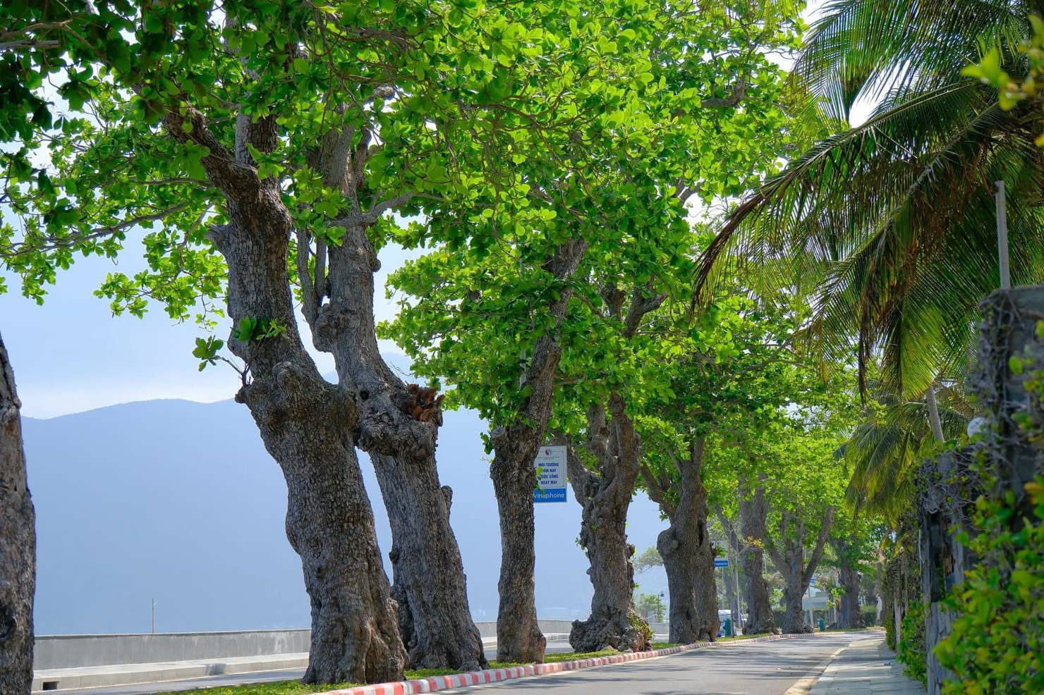 Côn Đảo nói không với túi ni lông và loại bỏ dần các sản phẩm nhựa dùng một lần.