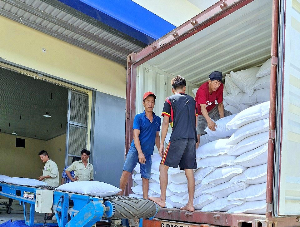 Cục DTNN khu vực Cửu Long vừa hoàn thành nhập kho 4.700 tấn gạo DTQG đảm bảo chất lượng, số lượng. 