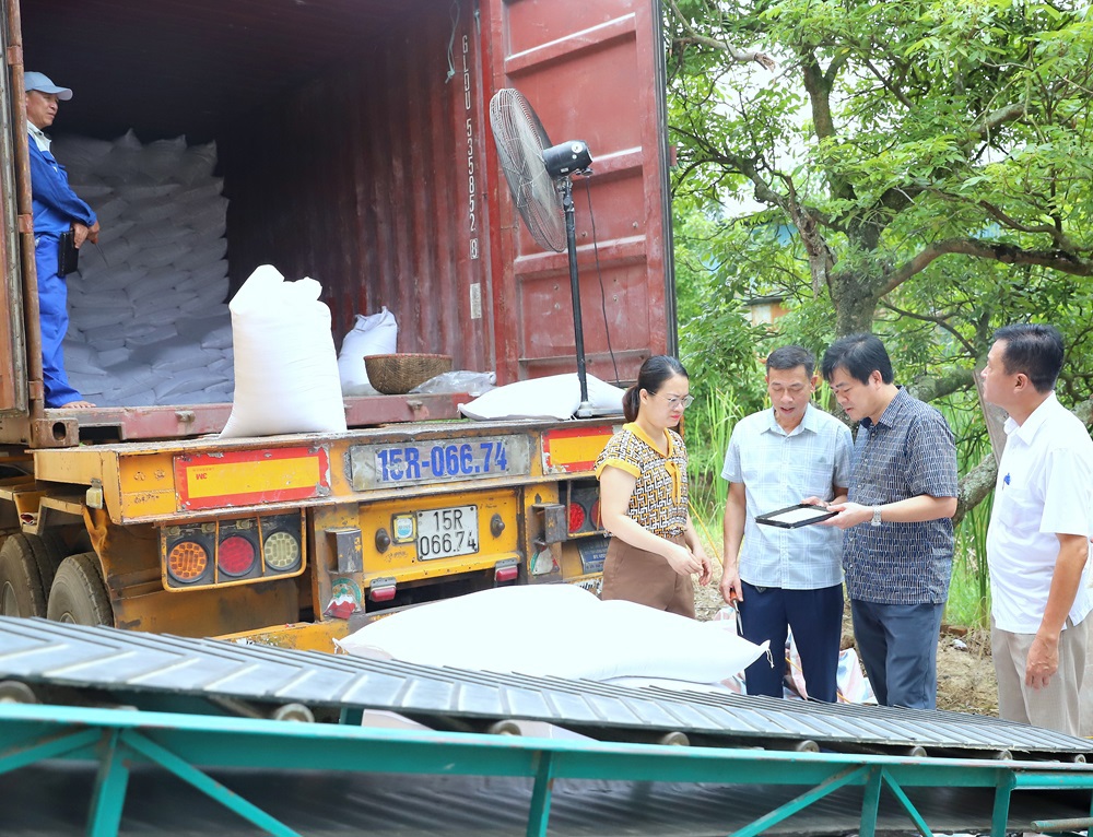 Đoàn kiểm tra của Tổng cục DTNN lấy mẫu, kiểm tra chất lượng gạo tại điểm kho Quán Phấn (Chi cục DTNN Tứ Lộc, Hải Dương). Ảnh: Văn Trường