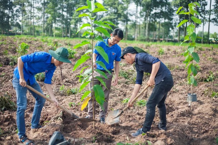 UBND Tỉnh yêu cầu chủ động triển khai thực hiện mục tiêu và nhiệm vụ về bảo vệ môi trường và các chương trình, dự án ưu tiên đầu tư của địa phương.