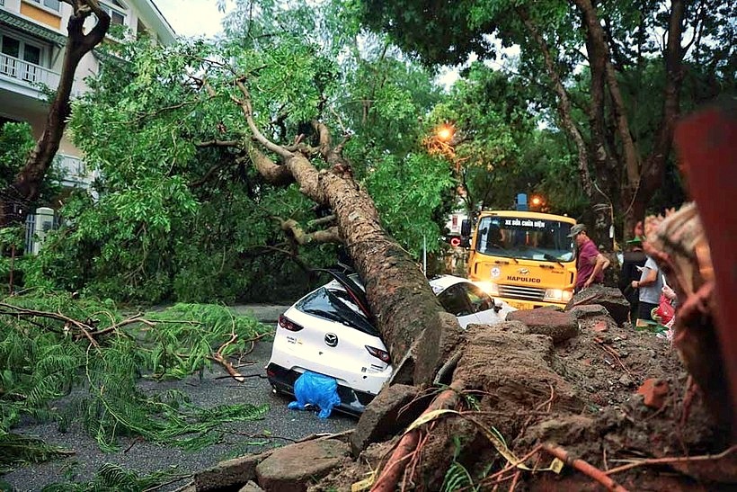 Các doanh nghiệp bảo hiểm đang tích cực, chủ động giám định thiệt hại để kịp thời bồi thường đảm bảo quyền lợi cho khách hàng do bão số 3 gây ra. 