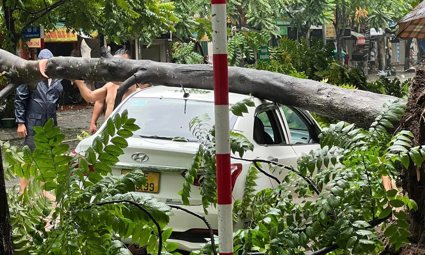 TP. Hà Nội đã phải chịu thiệt hại nặng nề về tài sản, vật chất do bão Yagi.