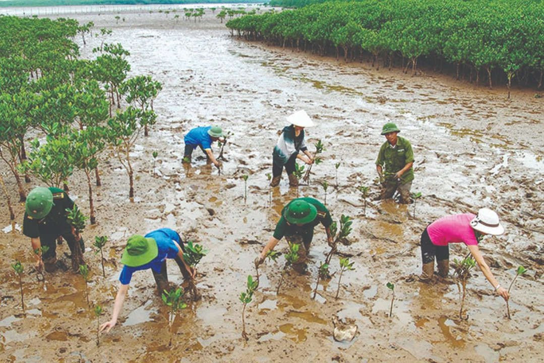 Ban Tuyên giáo Trung ương yêu cầu đẩy mạnh tuyên truyền về bảo vệ, phục hồi các hệ sinh thái tự nhiên, đặc biệt là các hệ sinh thái rừng, đất ngập nước.