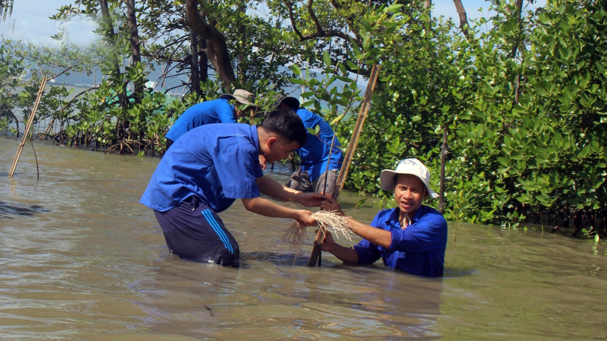 Bảo tồn tài nguyên thiên nhiên không chỉ là chìa khóa để giảm thiểu biến đổi khí hậu mà còn đảm bảo phát triển bền vững.