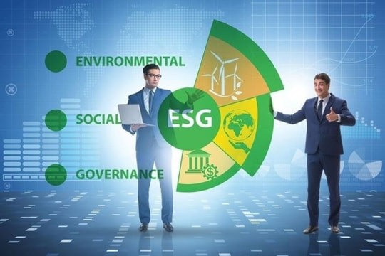 Báo cáo ESG giúp các nhà đầu tư xác định và quản lý rủi ro tiềm ẩn của công ty.