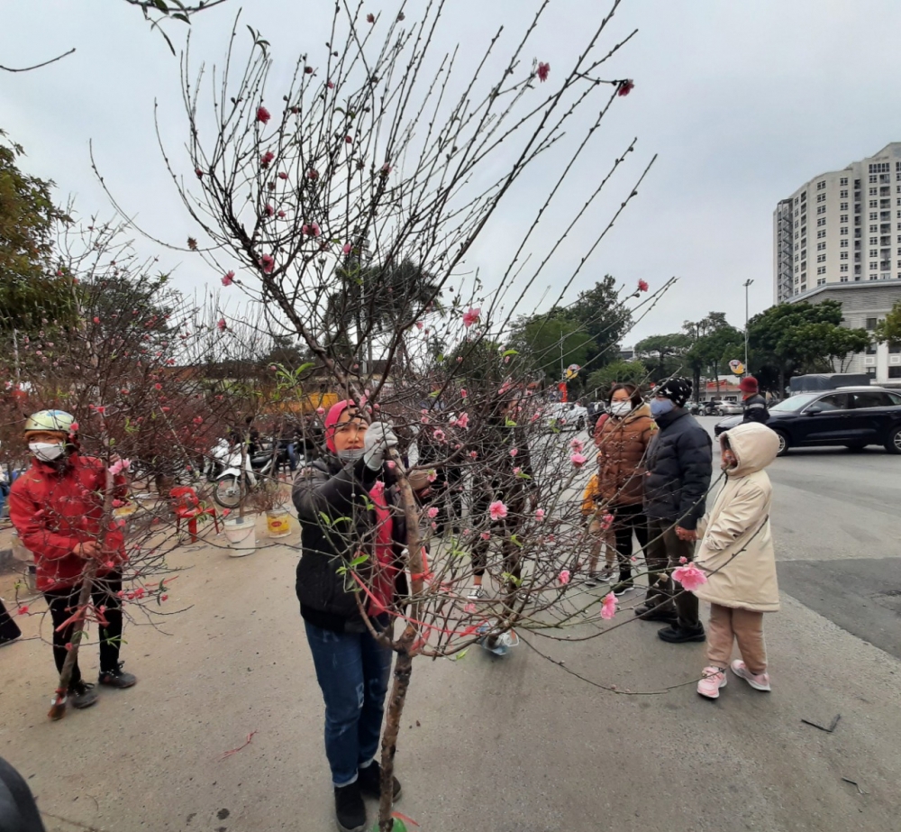 Tình hình cung - cầu thị trường ngày 29 Tết là ngày cuối cùng của năm Giáp Thìn diễn ra bình thường.