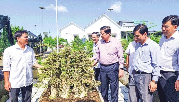 Anh Nhân (trái) giới thiệu về một tác phẩm kiểng bonsai của mình đến đoàn tham quan của TP. Cần Thơ. Ảnh: Mỹ Thanh