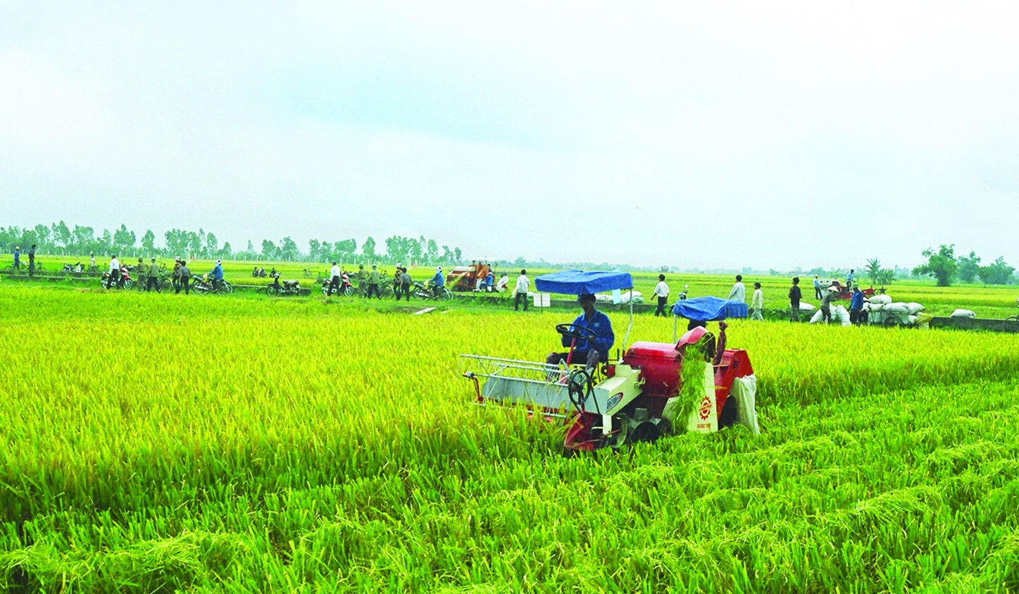 Việc phân bổ cụ thể ngân sách trung ương và tỷ lệ đối ứng của ngân sách địa phương phải phù hợp với tình hình thực tế, khả năng cân đối của ngân sách nhà nước.