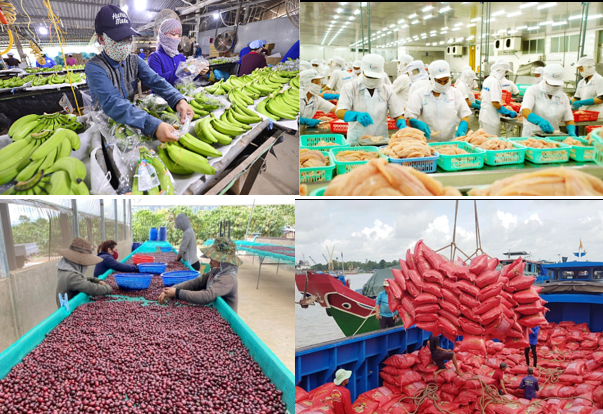 Nhiều nông sản Việt tiếp tục chinh phục thành công những thị trường mới.