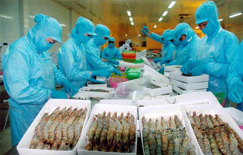 Theo VASEP, xuất khẩu tôm của Việt Nam trong quý I/2025 đạt 939 triệu USD, tăng 37% so với cùng kỳ năm 2024.