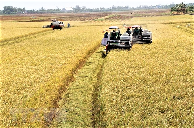 Các địa phương tập trung đẩy mạnh sản xuất nông nghiệp.