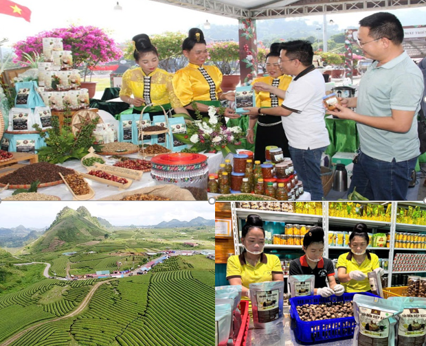 Tính chung 4 tháng năm 2025, doanh thu bán lẻ hàng hóa và doanh thu dịch vụ tiêu dùng trên địa bàn tỉnh Sơn La đạt 17.206,17 tỷ đồng, tăng 13,32%.
