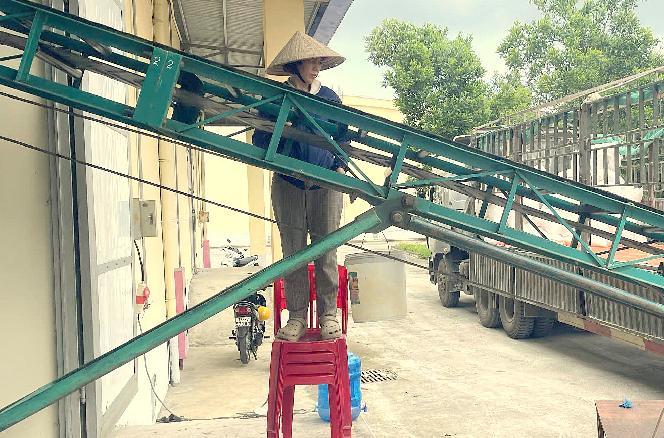 Hoạt động nhập gạo dự trữ quốc gia tại điểm kho Vũ Thư - Thái Bình.