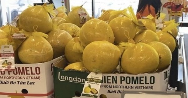 Các sản phẩm thế mạnh của Việt Nam như: Thủy sản, gỗ và sản phẩm từ gỗ, cà phê, hạt điều, rau quả, hạt tiêu và sản phẩm thủ công mỹ nghệ từ mây tre, cói, thảm… Ảnh minh họa: Internet.