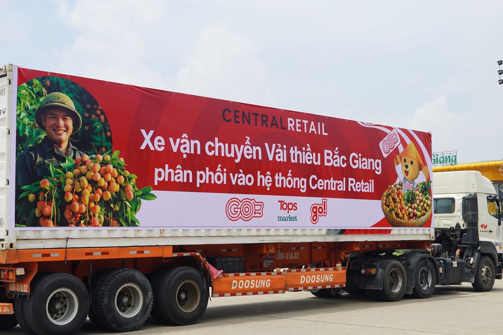 Tập đoàn Central Retail Việt Nam đã xuất hành các chuyến xe container vận chuyển vải thiều Lục Ngạn - Bắc Giang