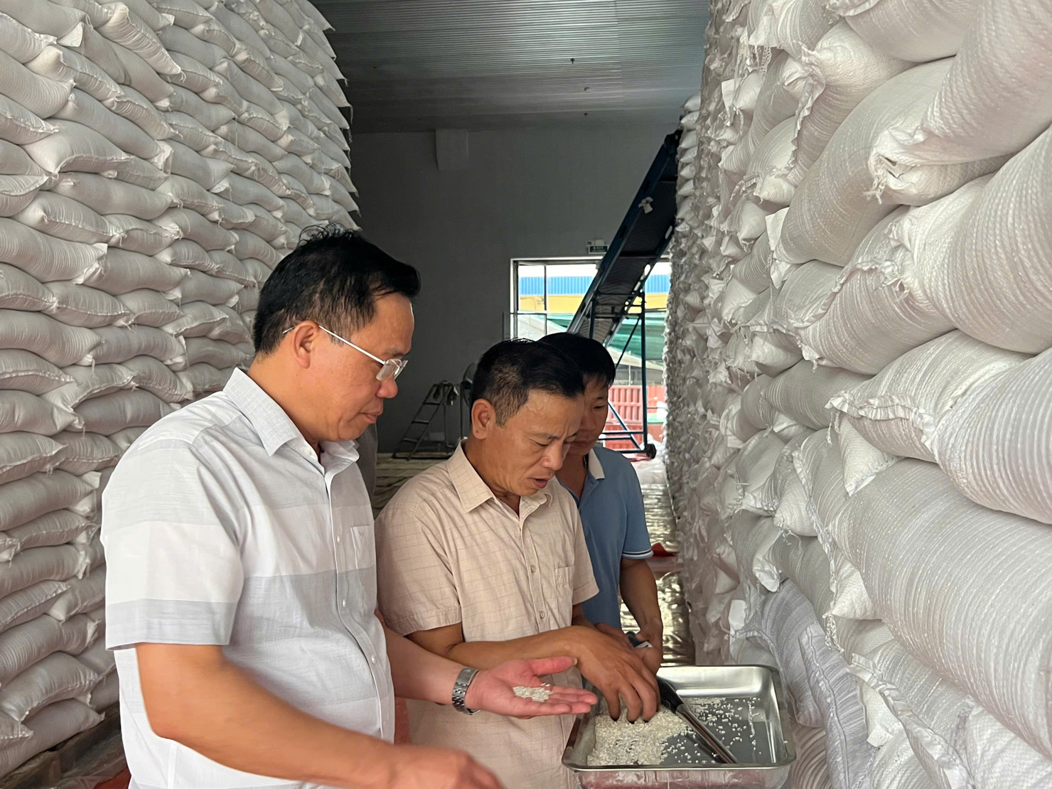 Hoạt động nghiệp vụ tại Chi cục DTNN khu vực V. Ảnh do Chi cục cung cấp.