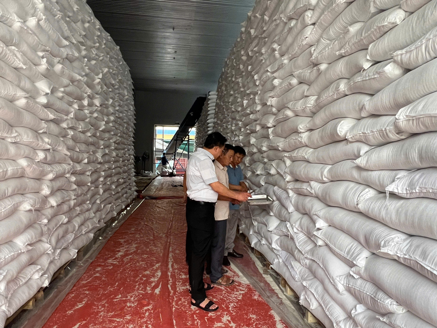 Công chức Chi cục DTNN khu vực V kiểm tra chất lượng lương thực nhập kho. Ảnh do Chi cục cung cấp