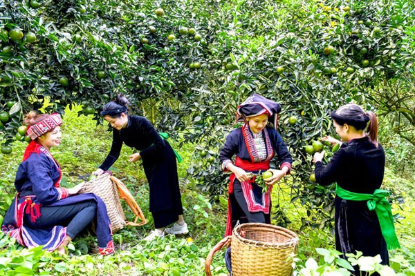 Chương trình Mục tiêu Quốc gia giảm nghèo bền vững đóng vai trò then chốt trong việc tạo ra những thay đổi tích cực.