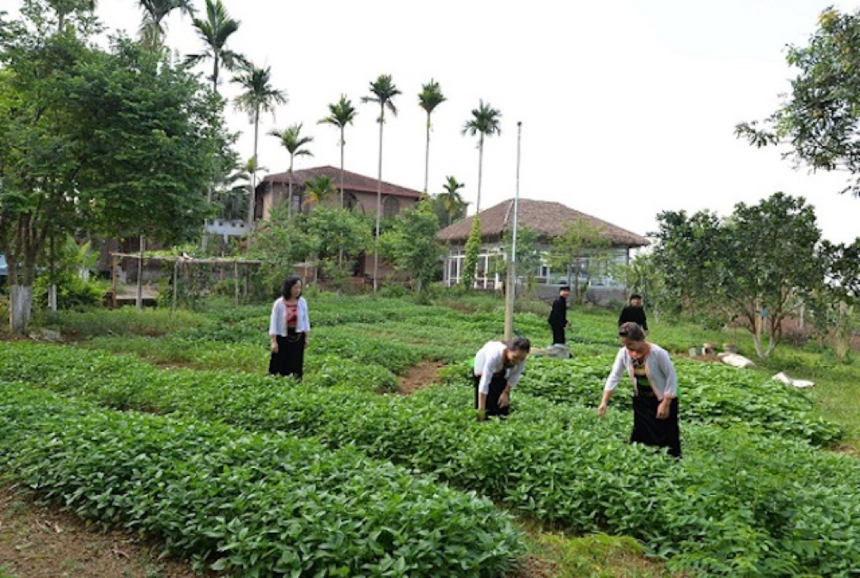 Tỉnh Hà Tĩnh có gần 9.000 hộ thoát nghèo nhờ các mô hình hỗ trợ sản xuất và sinh kế hiệu quả.