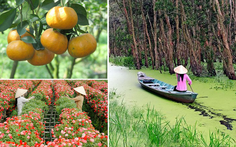 Khu vực nông, lâm nghiệp và thủy sản vẫn duy trì được tốc độ tăng trưởng khá cao trong năm 2024