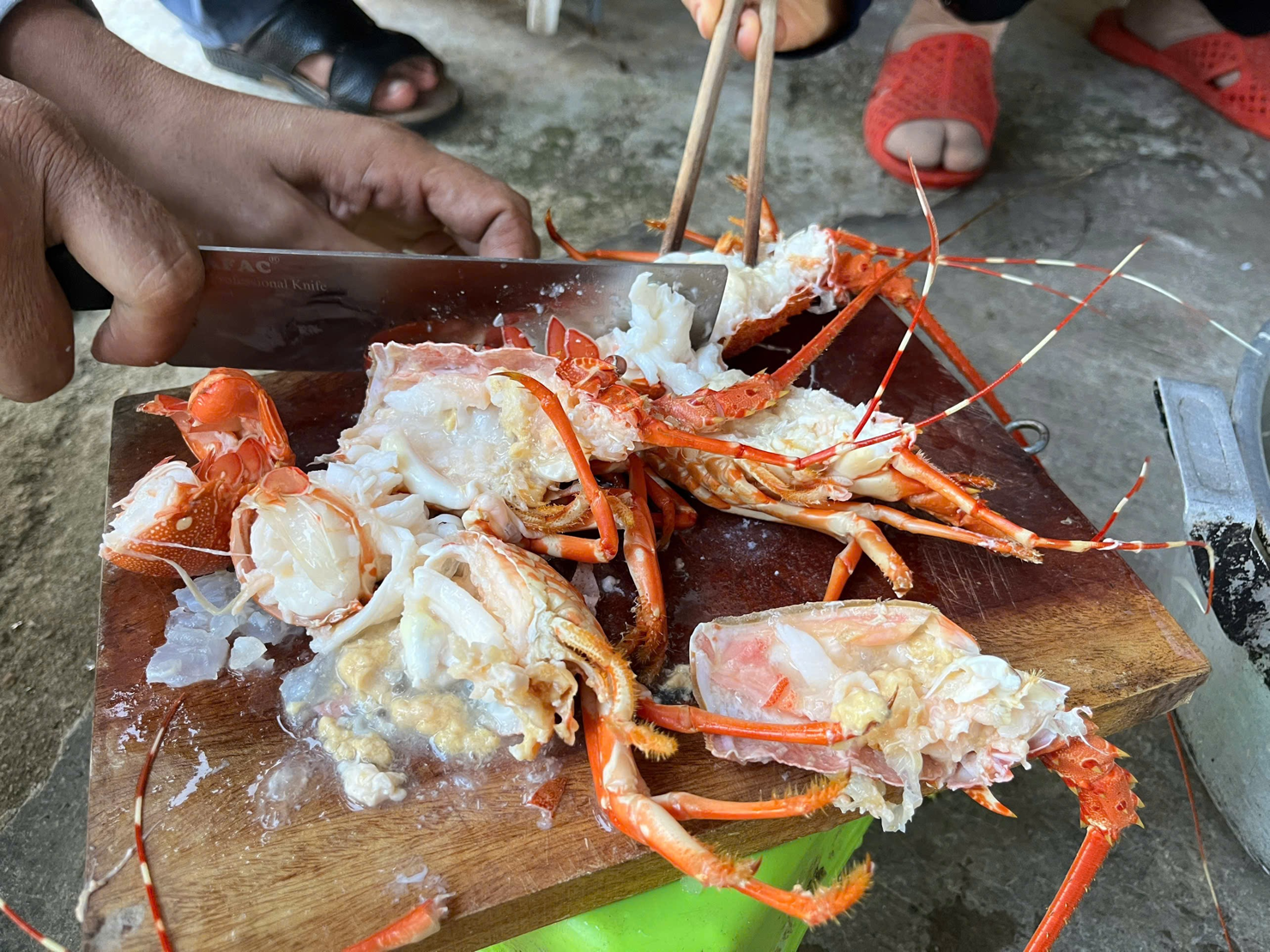Tang vật vi phạm.