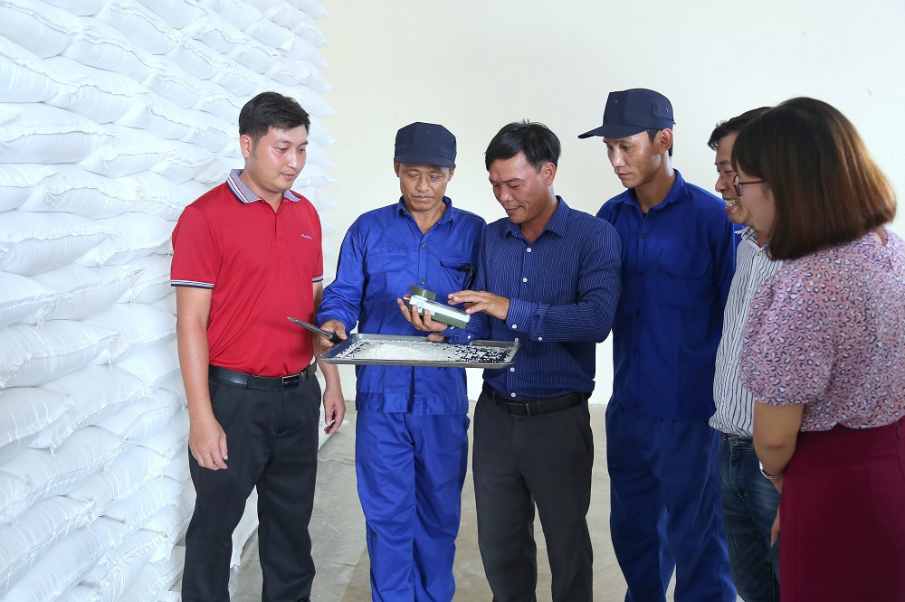 Đến ngày 10/6/2025, Chi cục DTNN khu vực II đã hoàn thành nhập kho 21.000 tấn gạo theo chỉ tiêu kế hoạch được giao.