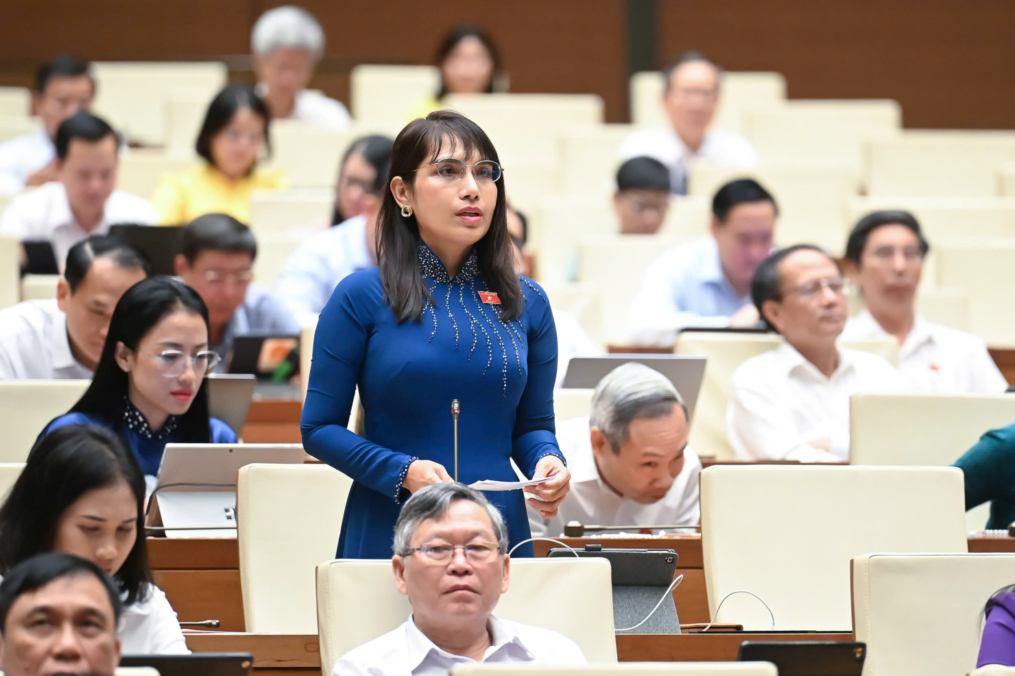 Đại biểu Châu Quỳnh Dao - Đại biểu Quốc hội tỉnh Kiên Giang nêu quan điểm về ô nhiễm môi trường trong thương mại điện tử