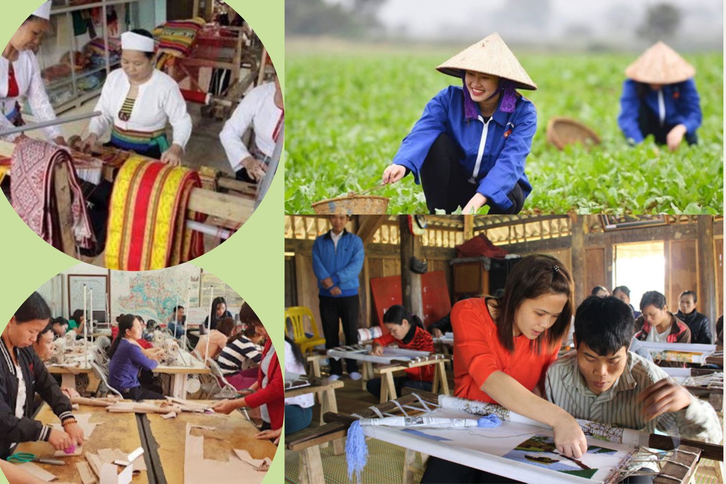 Tỷ lệ lao động nông thôn qua đào tạo có bằng cấp, chứng chỉ đã có sự gia tăng đáng kể