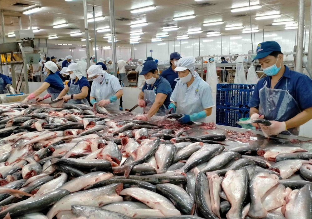 Bộ Thương mại Hoa Kỳ vừa ban hành Kết luận cuối cùng cho đợt rà soát lần thứ 20 (POR 20) thuế chống bán phá giá đối với mặt hàng cá tra - basa phi lê đông lạnh của Việt Nam xuất khẩu sang Hoa Kỳ trong giai đoạn từ 1/8/2022 đến 31/7/2023.