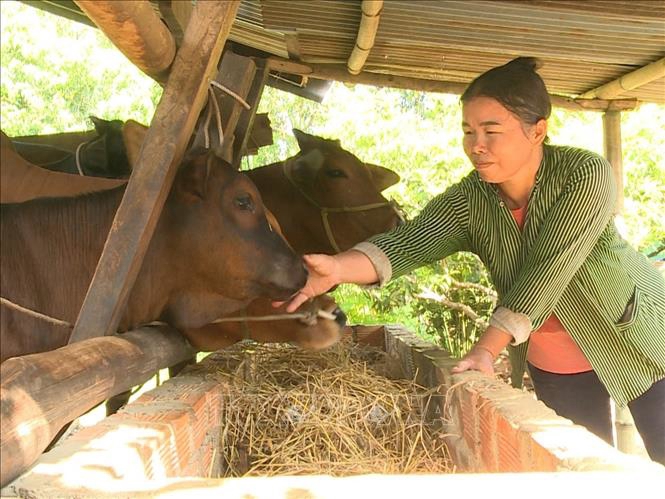 CTMTQG giảm nghèo bền vững giúp người dân cải thiện điều kiện sống, nâng cao thu nhập.