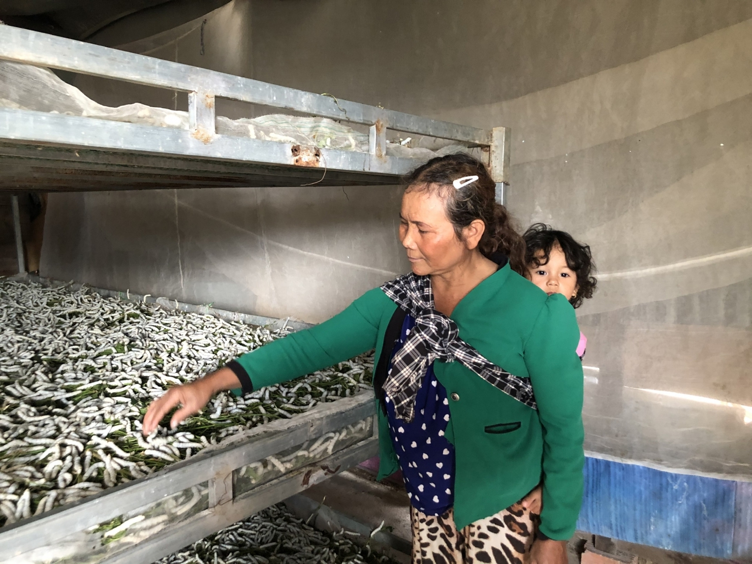 Tỷ lệ hộ nghèo đa chiều trong đồng bào dân tộc thiểu số tỉnh Lâm Đồng giảm mạnh qua từng năm.