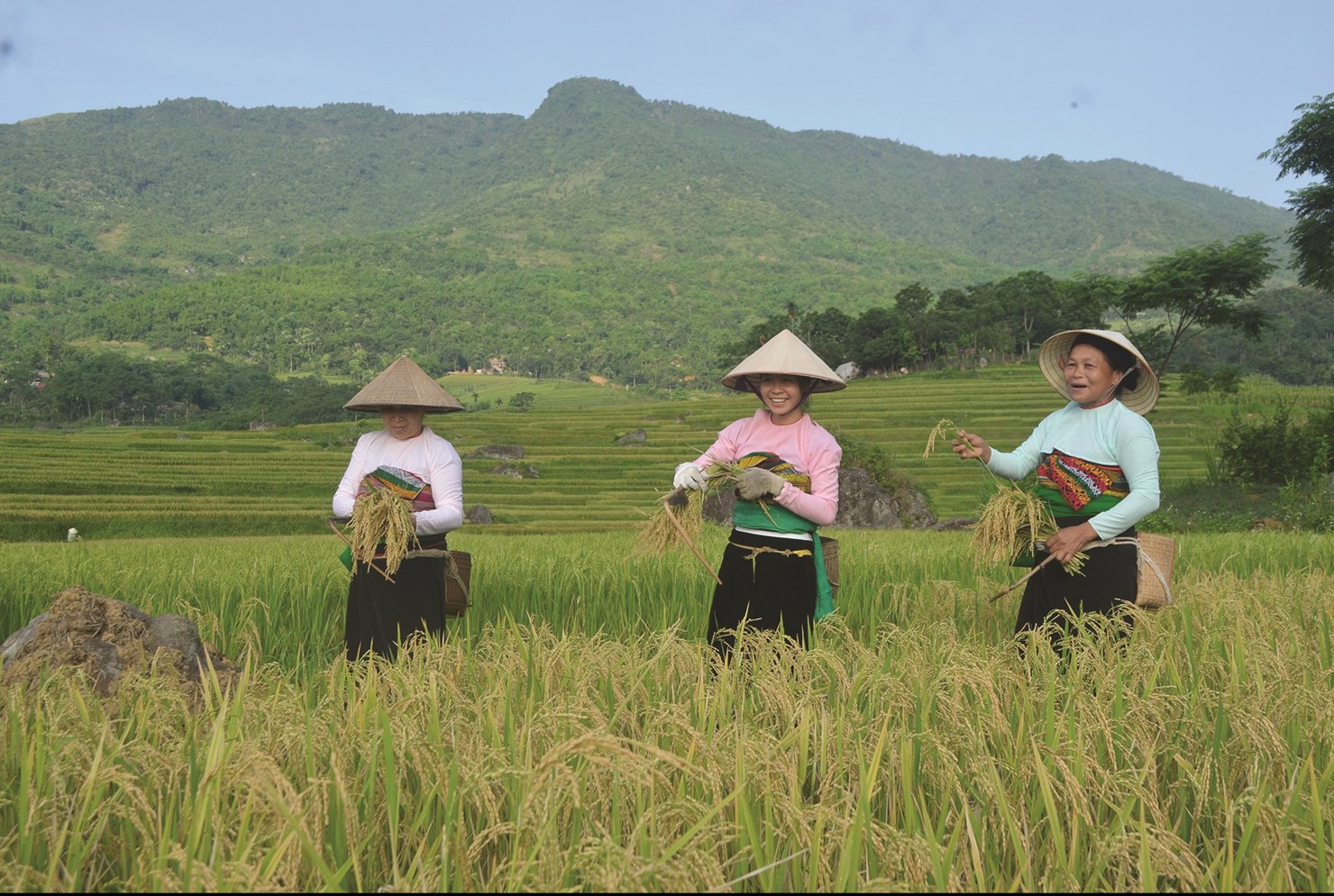 Thanh Hóa đặt các mục tiêu thu hẹp dần khoảng cách về mức sống, thu nhập bình quân của vùng dân tộc thiểu số đặc biệt khó khăn so với bình quân chung của cả tỉnh.