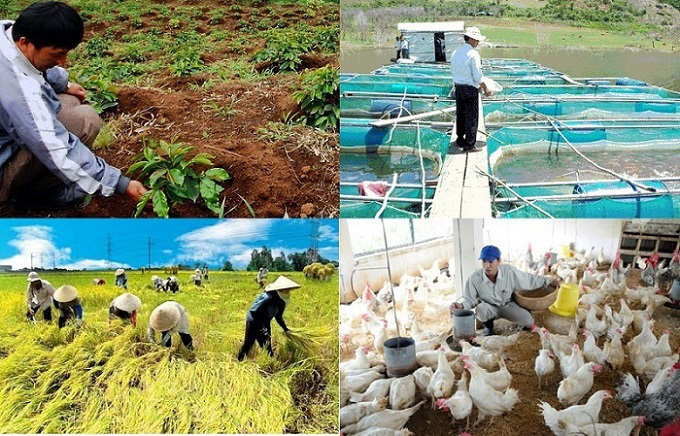 Ngành Nông nghiệp và Môi trường đang thể hiện quyết tâm mạnh mẽ để đạt mục tiêu tăng trưởng năm 2025
