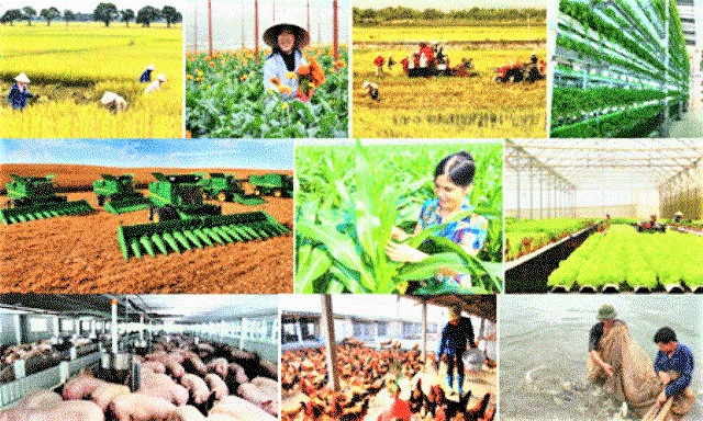 Ninh Bình đã sẵn sàng cho cuộc Tổng điều tra nông thôn, nông nghiệp năm 2025 vào ngày 1/7