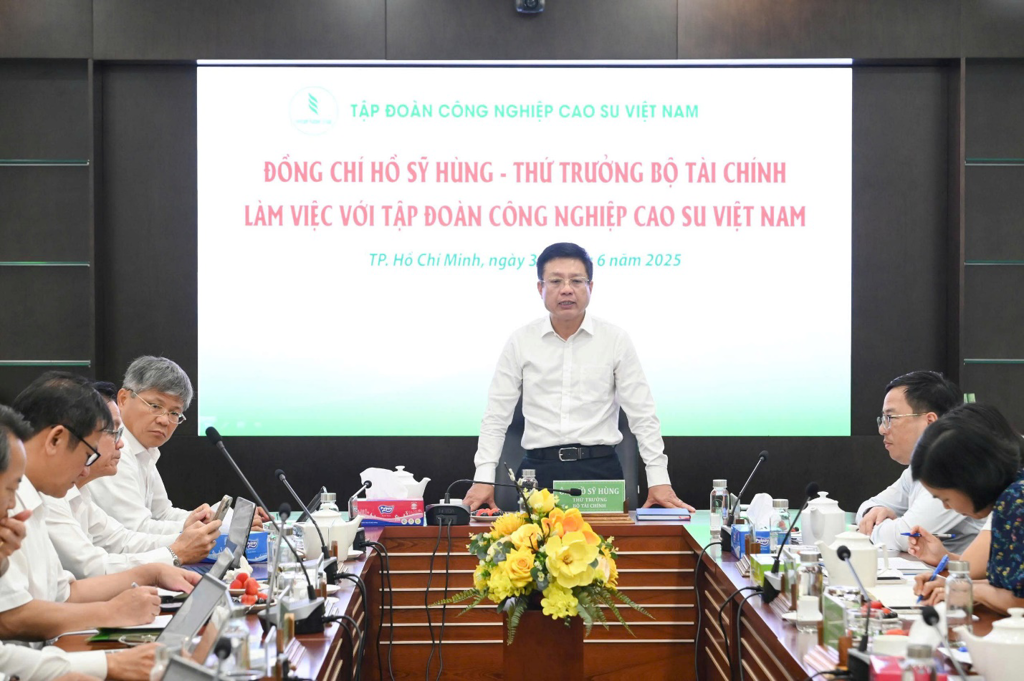 Thứ trưởng Bộ Tài chính Hồ Sỹ Hùng phát biểu chỉ đạo tại buổi làm việc.