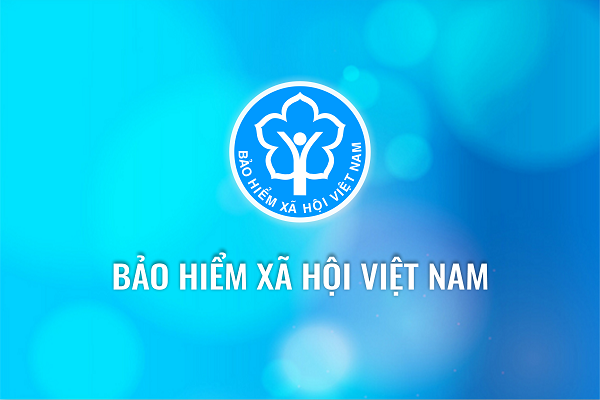 Hội đồng quản lý có trách nhiệm giúp Chính phủ, Thủ tướng Chính phủ chỉ đạo, giám sát hoạt động của cơ quan bảo hiểm xã hội.