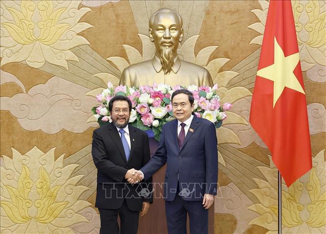 Chủ tịch Quốc hội Trần Thanh Mẫn tiếp Phó Chủ tịch Hội đồng Đại biểu địa phương Indonesia Yorrus Raweyai - Ảnh: TTXVN