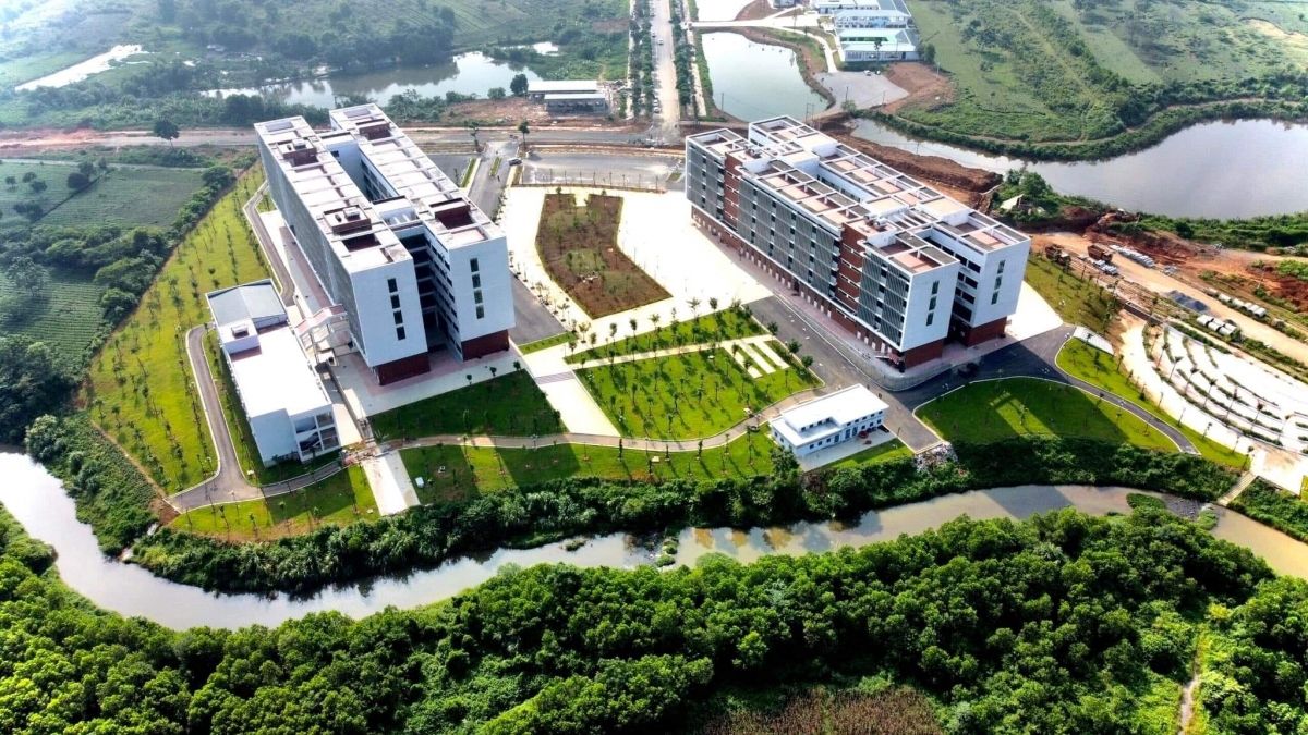 Theo Nghị định, Đại học quốc gia xây dựng, triển khai các chương trình đào tạo năng khiếu, tài năng.