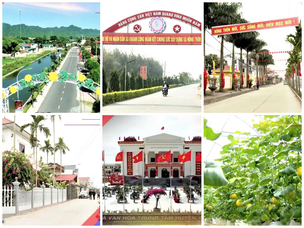 Ninh Bình thu thập thông tin phục vụ hoạch định chính sách phát triển nông thôn, nông nghiệp