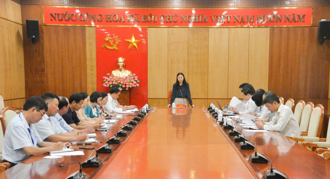 Phó Cục trưởng Cục Thống kê (Bộ Tài chính) Đỗ Thị Ngọc phát biểu tại buổi làm việc với phường Quảng Yên (Quảng Ninh).