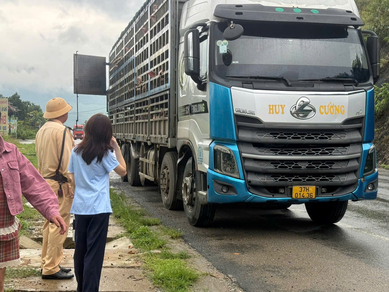 Đoàn công tác phát hiện trên xe đang vận chuyển 192 con lợn thương phẩm với tổng trọng lượng khoảng 17,2 tấn. Chủ hàng không xuất trình được giấy tờ liên quan đến nguồn gốc xuất xứ cũng như giấy chứng nhận kiểm dịch động vật theo quy định.