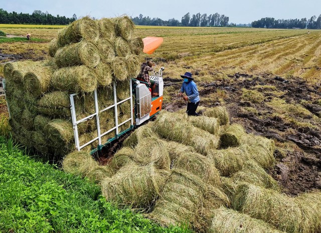 Tại nhiều địa phương, mô hình kinh tế tuần hoàn trong nông nghiệp đã được áp dụng, mang lại hiệu quả tích cực.