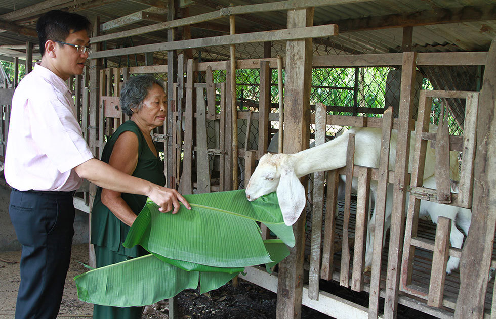 Tính dụng bongdaso giúp nhiều người dân ở Vĩnh Long thoát nghèo. Ảnh: Chi nhánh Ngân hàng CSXH Vĩnh Long cung cấp
