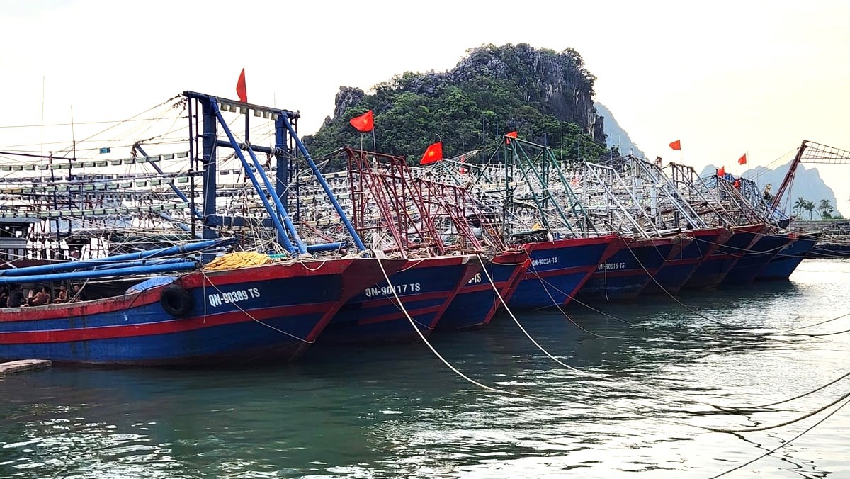 Tàu cá vùng biển Quảng Ninh về khu neo đậu tránh trú bão số 3 (bão Wipha). Ảnh: Nguyễn Thành.